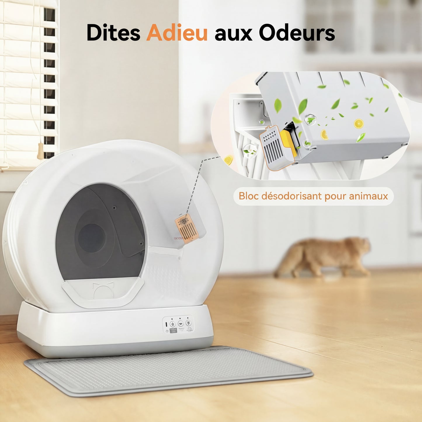Litière Automatique