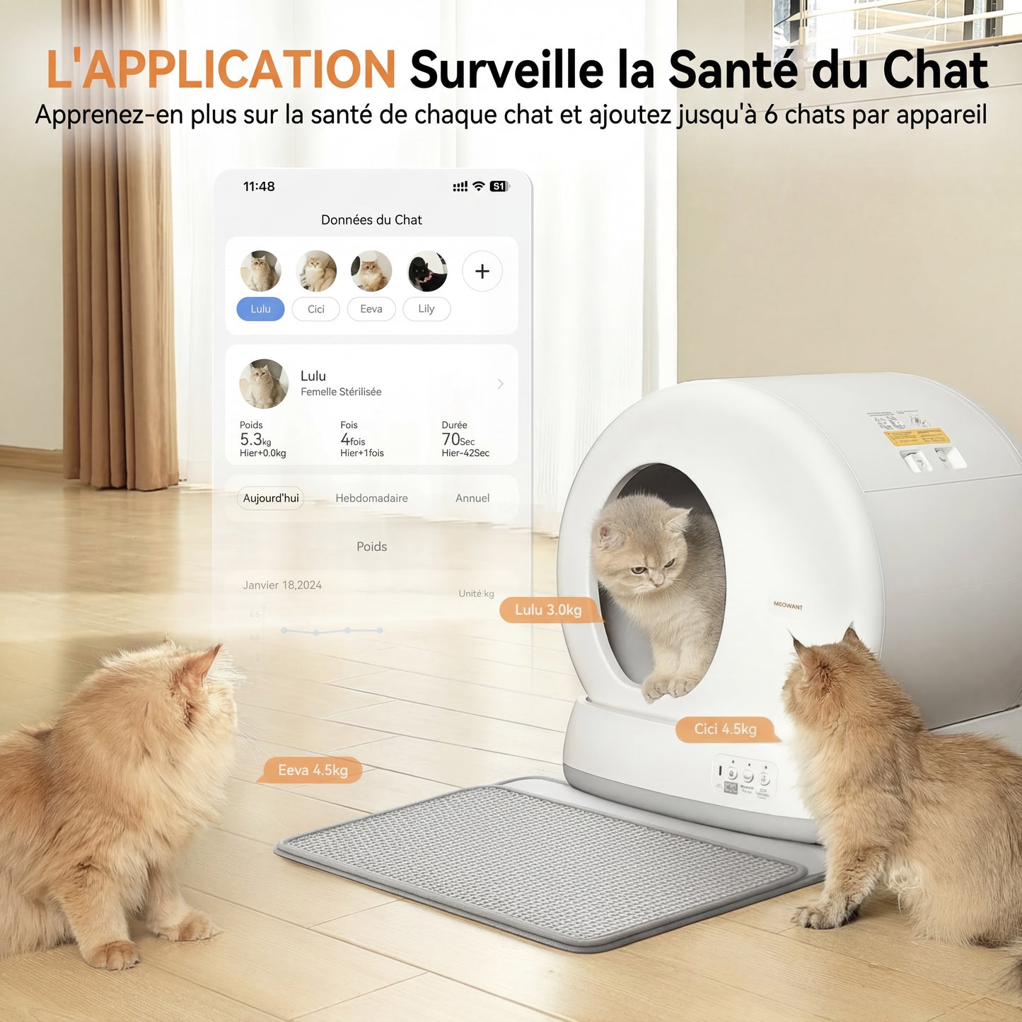 Litière Automatique